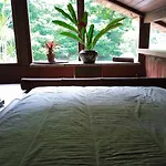 Suite Floresta