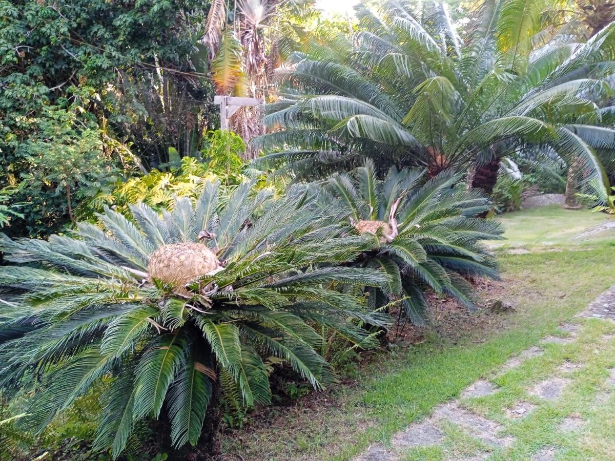Floresta Appartement Rio de Janeiro